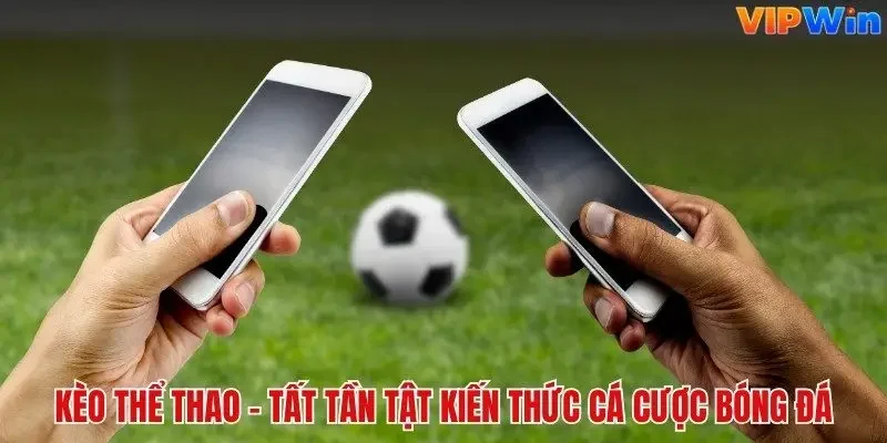 Vipwin Mis | Đăng Ký | Đăng Nhập Chính Thức Vipwincom 2026 - davor